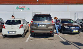 Vakarų Lietuvos automobilių statymo ypatumai