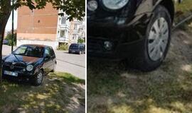 Automobiliui stovėti ant žolytės daug minkščiau