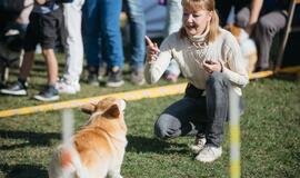 Pasaulinė gyvūnų diena Gargžduose