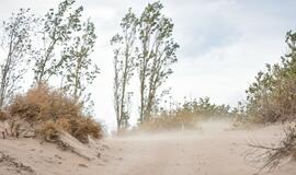 Audringa Baltijos jūra