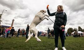 Pasaulinė gyvūnų diena Gargžduose