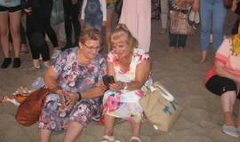 Baltijos šalių vienybės laužas