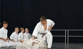 Klaipėdoje - "Judrioji mugė"