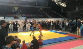 Klaipėdoje - "Judrioji mugė"