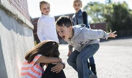 Suįžūlėję paaugliai terorizuoja mokyklos moksleivius