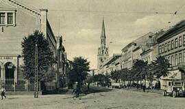 600 "akvarelinių" stebuklų