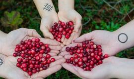 7 produktai, kurie valo organizmą geriau už bet kokius vaistus