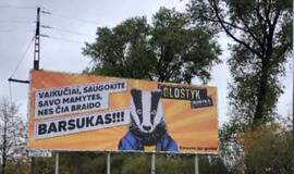 Barsukas išgąsdino Palangos valdžią – uždraudė dar kuriamo filmo reklamą