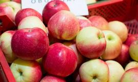 Nenuvertinkite obuolienės: puikiai tiks ne tik arbatai, desertams, bet ir dovanoms