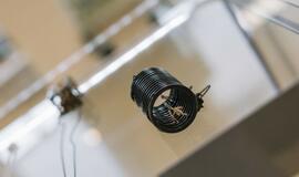 Klaipėdos mados savaitė prasidėjo renginių maratonu