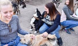 Mersedesų mylėtojai dėmesiu apipylė ir augintinius