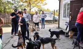 Mersedesų mylėtojai dėmesiu apipylė ir augintinius