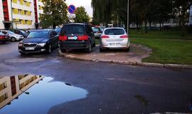 Vakarų Lietuvos automobilių statymo ypatumai