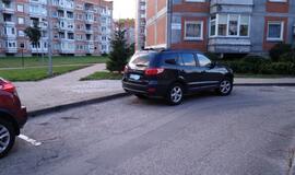 Vakarų Lietuvos automobilių statymo ypatumai