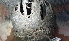 Ko reikia, kad lietus neskandintų Klaipėdos miesto?