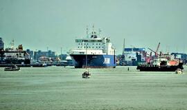 Laivų greičio mažinimas – ne panacėja