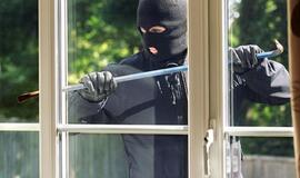 Klaipėdos rajone siautėjo vagys