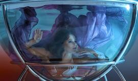 Palangos apdovanojimai 2019 „Gintarinė Snaigė“... tarp žemės ir dangaus...