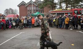 Neringos gimtadienis