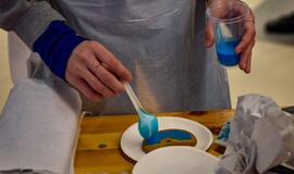 Spalvoto meduolio diena Klaipėdoje