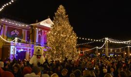 Įžiebta Klaipėdos kalėdinė eglė