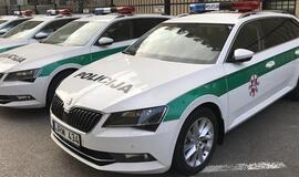 Suvestinė: vagystė, plėšimas, narkotikai ir sukčiai