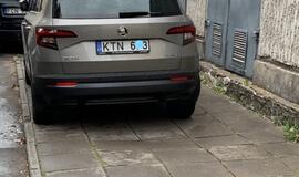 Vakarų Lietuvos automobilių statymo ypatumai