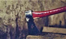 Kriminalai: apiplėšė keturiese, grasino pareigūnui kirviu, prie vairo įkliuvo girtas ukrainietis