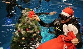 Eglutė baseino dugne