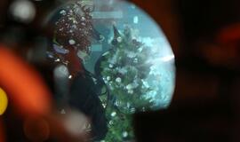 Eglutė baseino dugne