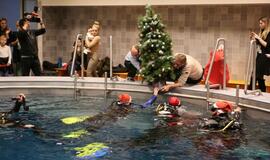 Eglutė baseino dugne