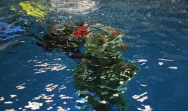 Eglutė baseino dugne