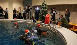 Eglutė baseino dugne