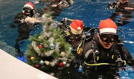 Eglutė baseino dugne