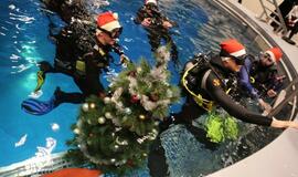 Eglutė baseino dugne