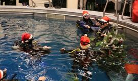 Eglutė baseino dugne