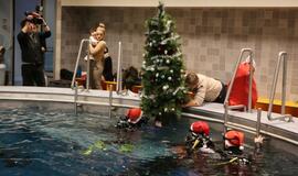 Eglutė baseino dugne