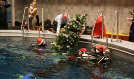 Eglutė baseino dugne