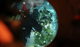 Eglutė baseino dugne