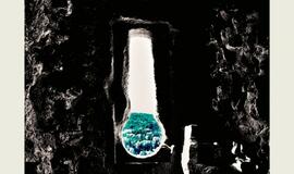 „Kultūros Fabrike“ paroda keičia parodą