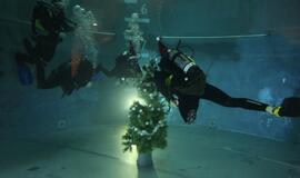 Eglutė baseino dugne