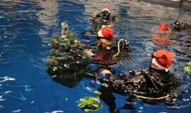 Eglutė baseino dugne