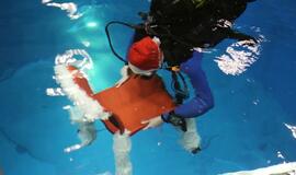 Eglutė baseino dugne