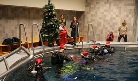 Eglutė baseino dugne