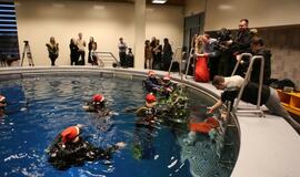 Eglutė baseino dugne