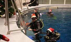 Eglutė baseino dugne