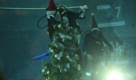 Eglutė baseino dugne