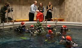 Eglutė baseino dugne