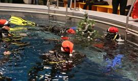 Eglutė baseino dugne