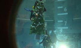 Eglutė baseino dugne